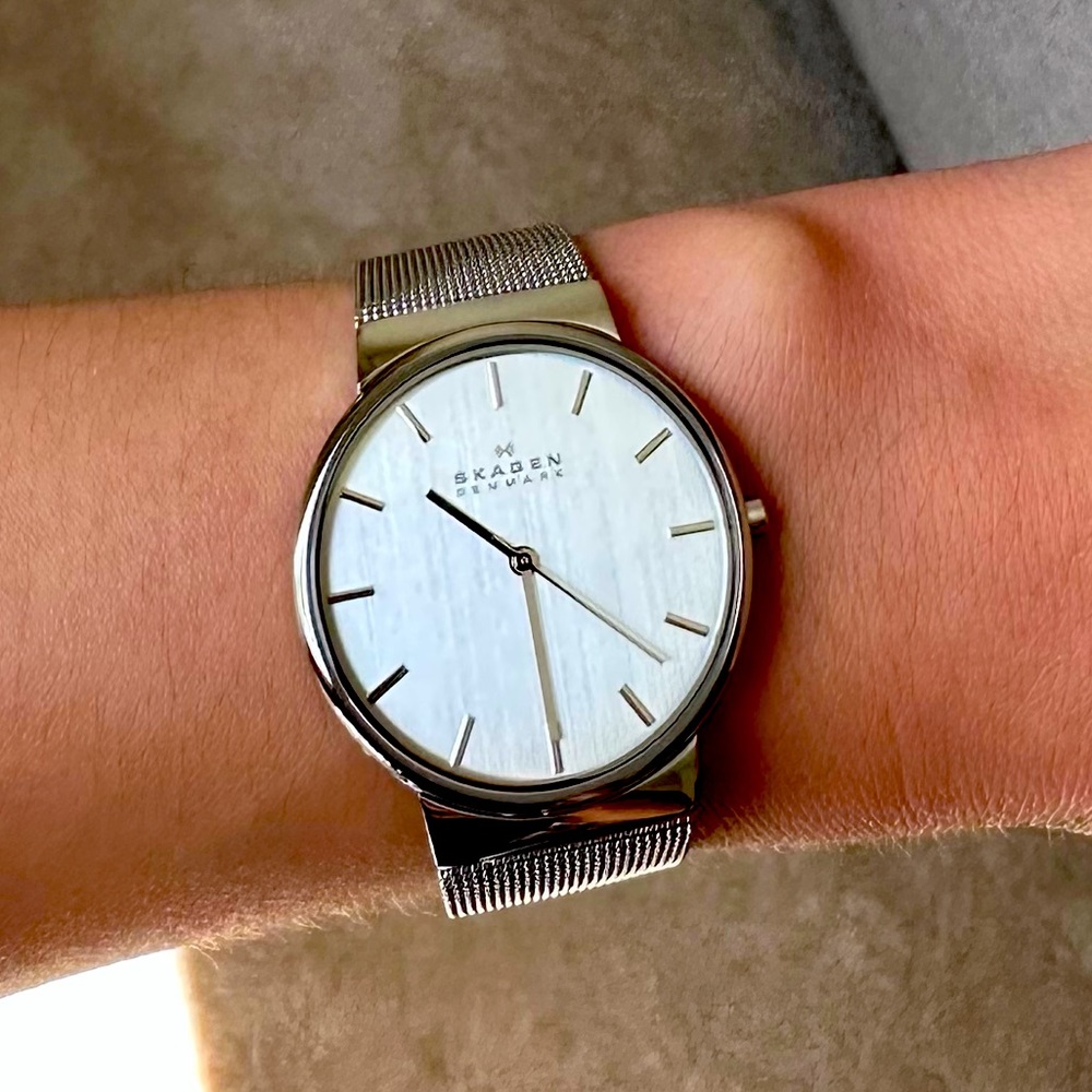 Skagen stainless steel mesh women’s watch